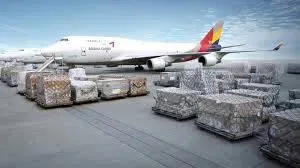 Air Import Export Service: Europe – Vietnam