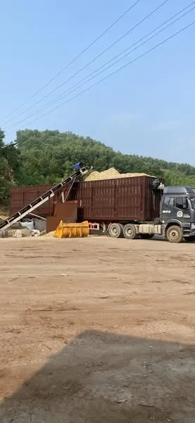 Vận tải hàng hoá dăm gỗ