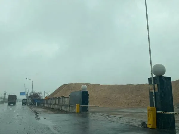 THUÊ TÀU VẬN CHUYỂN DĂM GỖ