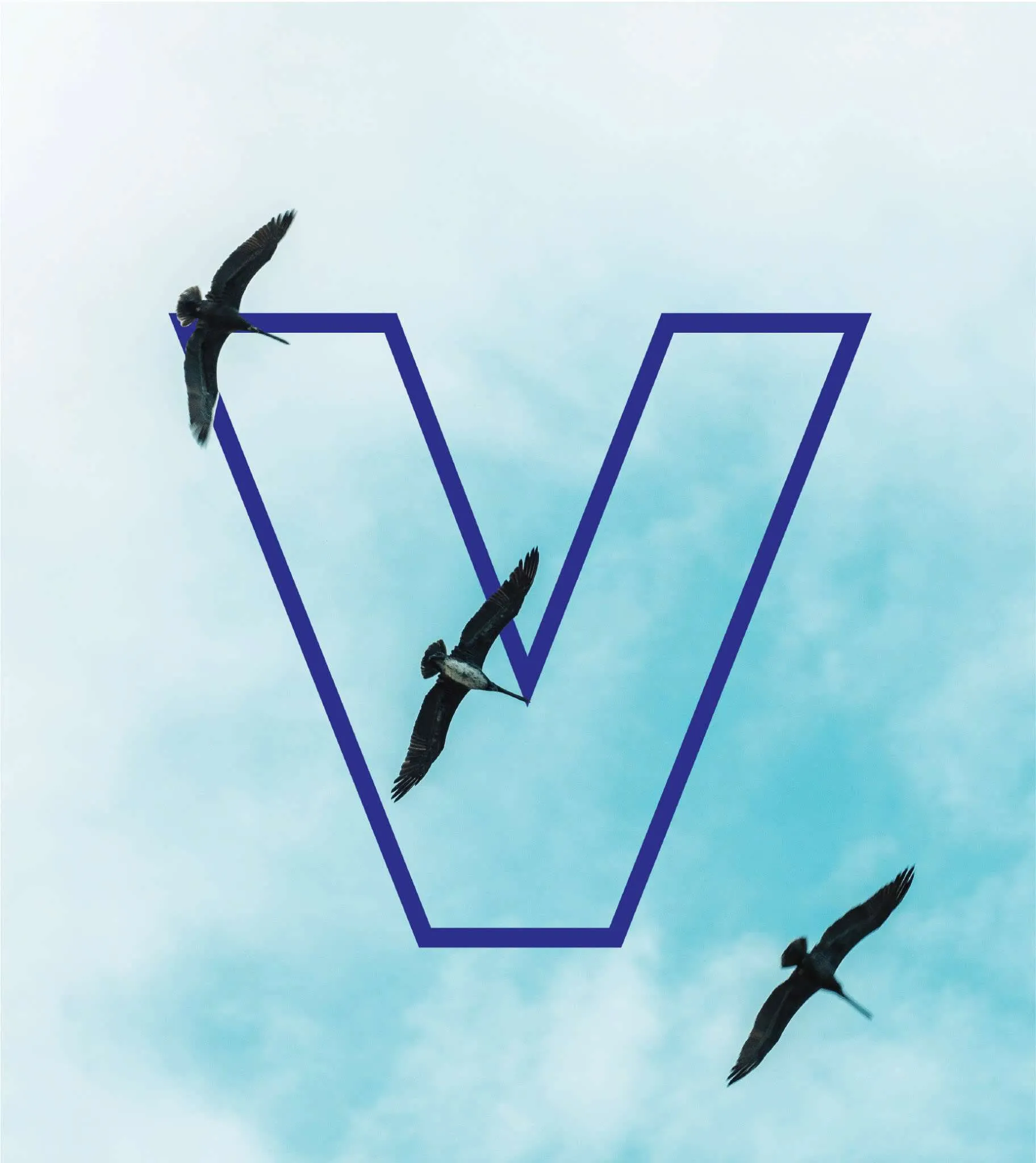 favicon.jpg-large